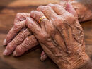 Hands of a Grafter - Jim Williams