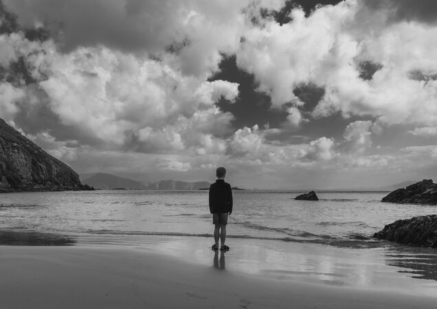 Harry vs world - Ed Ad