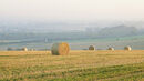 Harvest Time - Linda Topping
