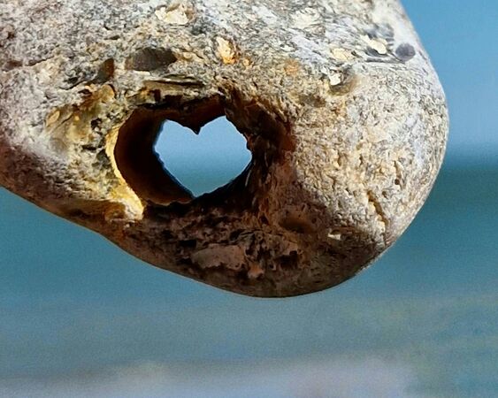 Heart of stone - Bente Dahl