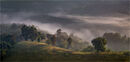 Hillside Mist - D Tyrrell