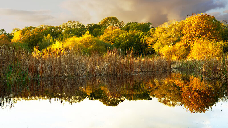 Hollow Ponds - Luciano Ocesca