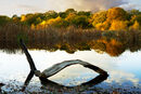 Hollow Ponds - Luciano Ocesca