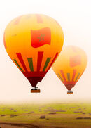Hot Balloons - Ashley N