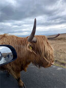 I kept the window closed - John Foster