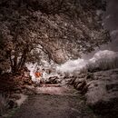 Info Red in Dartmoor - George Mayne