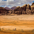 Jordan - Hank Bishop