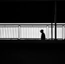 Life Is A Prison - Anthony Rosner