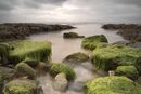 Low Tide at Porthleven - Ray Benn