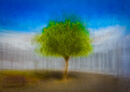 Mesquite Tree - D Tyrrell