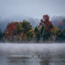 Misty Morning - Hank Bishop
