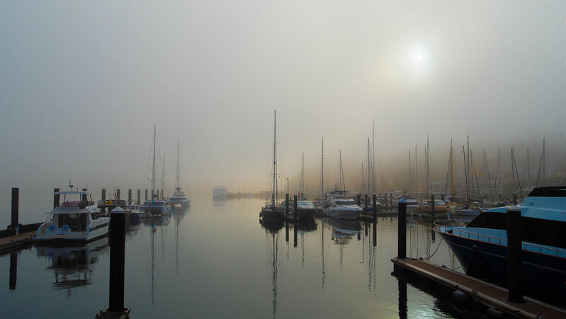 Misty morn on the Douro - Sue Dyson