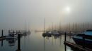 Misty morn on the Douro - Sue Dyson