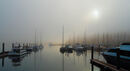 Misty morning on the Douro - Sue Dyson