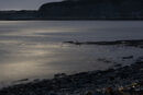 Moonlit Sea - Michael Cassidy