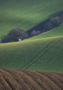 Moravia - Chris Saunders