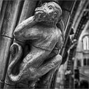 Natural History Museum - Alan Simpson