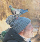 Nesting Material - Adrian Gorst