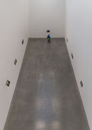 Newport Gallery - David Tyrrell