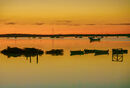 Norfolk Sunset - Luciano Ocesca