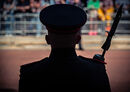 On Parade - Steuart Allen