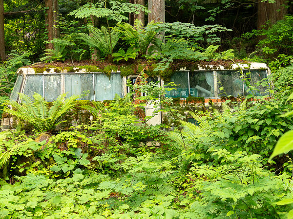 One Careful Owner - Michael Cassidy