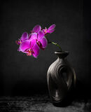 Orchids and Vase - Bob Gibbons