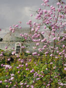 Palm House, Kew - Lynn Saunders
