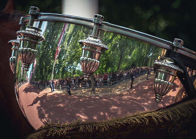 Parade Reflections - Steuart Allen Print