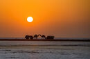 Passing Ships - Jiti Chadha