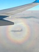 Pilot's Glory Rainbow - Steve Freeder