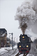 Polish Steam - Alan Simpson