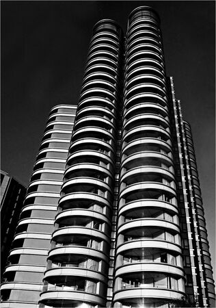 Reaching for Sky - Shylaja Muringoor