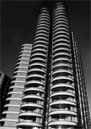 Reaching for Sky - Shylaja Muringoor