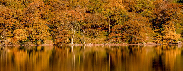 Reflections - Steuart Allen