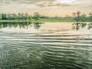 Ripples on the Rhone - Sue Dyson