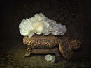 Rose Casket - Bob Gibbons