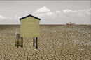 Saltmarsh View - John Foster