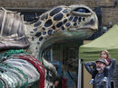 Save The Animals - Sue Matthews