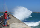 Sea Waves Crashing - Steve Freeder
