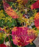 Seasons - Bente Dahl
