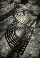 Seat and Shadow - Alan Simpson