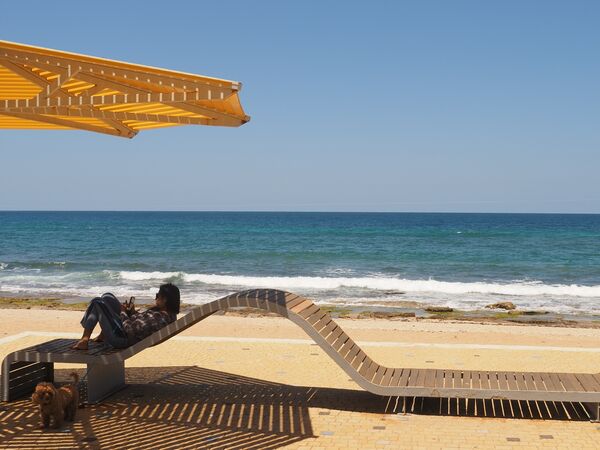 Shady Lady - David Tachauer