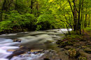 Smoky Mountains - Hank Bishop