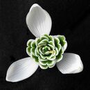 Snowdrop - Steve Freeder