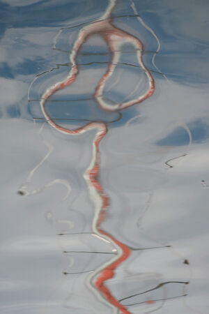 Solid Made Fluid - Adrian Gorst