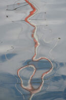 Solid Made Fluid - Adrian Gorst