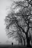 Solitude - Anila Hussain