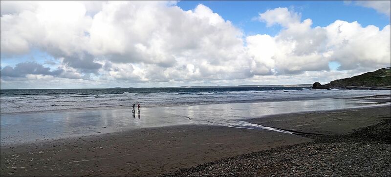 Solitude - Roy Parsons