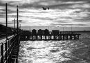 Southend Pier Silhouette - Jim Williams